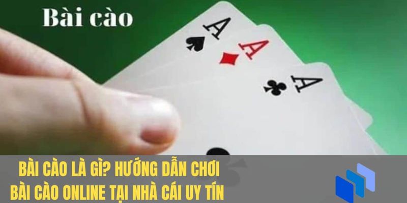 chơi bài cào online Tìm hiểu về bài cào